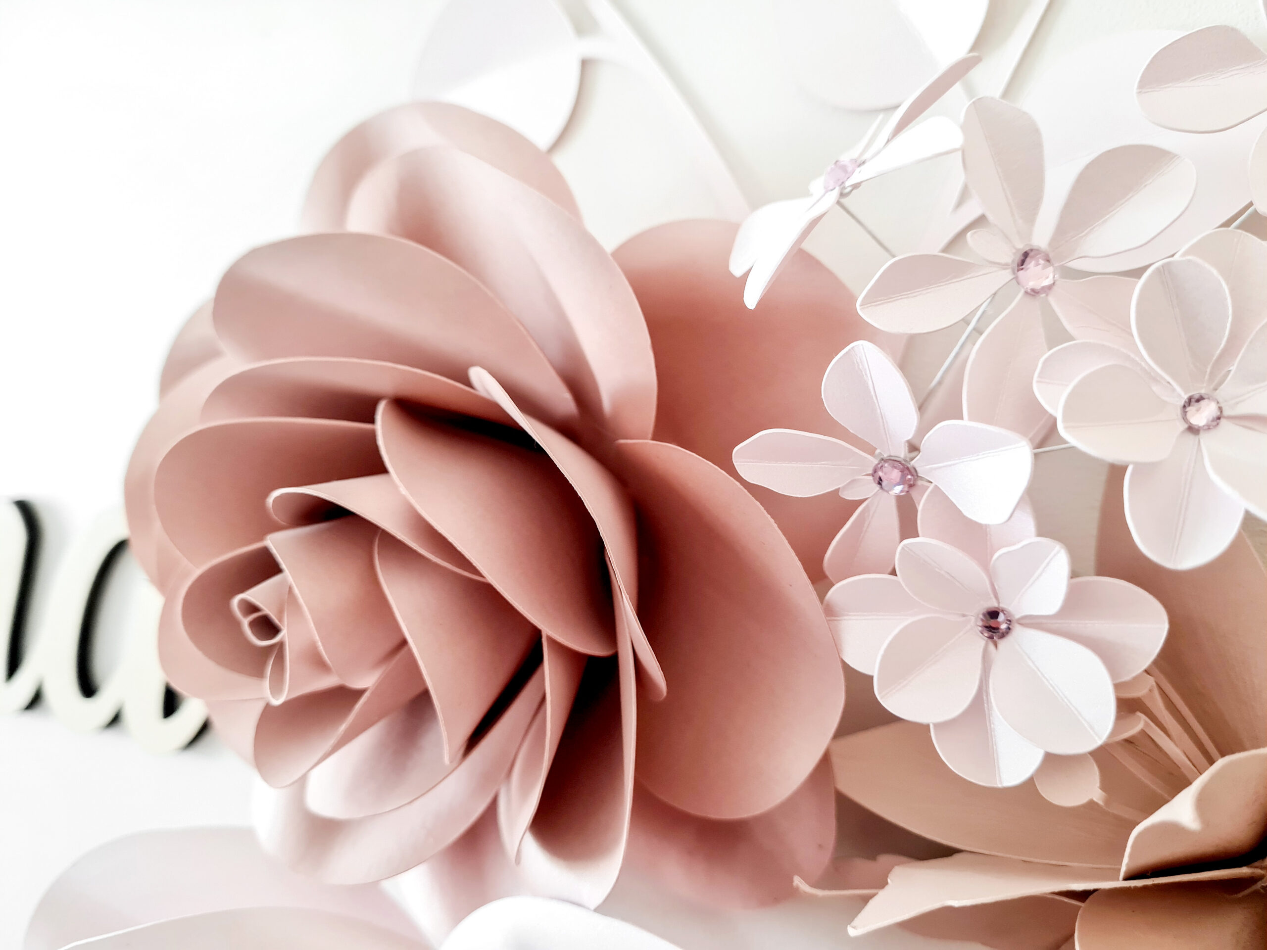 20220830_121430-2 20220830_121430-2